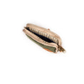 Load image into Gallery viewer, Revelry Gordito - Padded Pouch