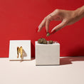 Laad de afbeelding in de Gallery-viewer, Thigh High Stash Box
