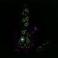 Load image into Gallery viewer, Pulsar Fruit Series Watermelon Zkittles Herb Pipe Glow Duo - 10" / 14mm F
