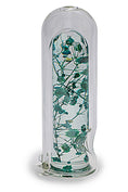 Laad de afbeelding in de Gallery-viewer, Plants in Capsule Glass Pipe