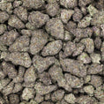 Load image into Gallery viewer, Revelry Premium Indoor THCA Pre-Rolls | 0.5g | 14pc Pack
