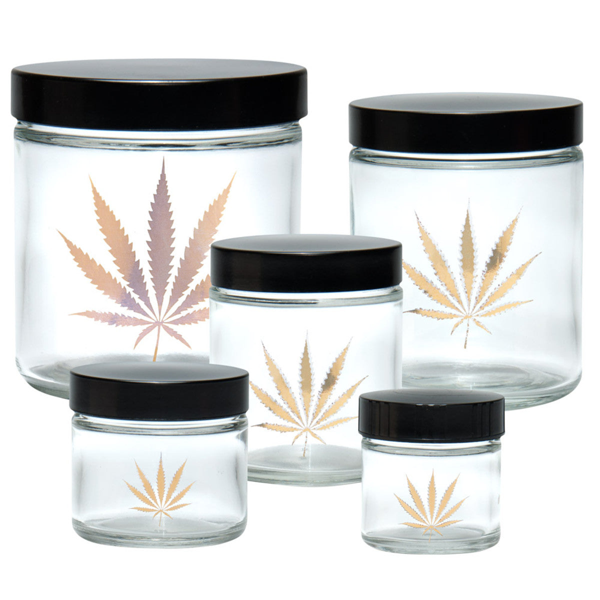 420 Science Clear Screw Top Jar - Gold Leaf